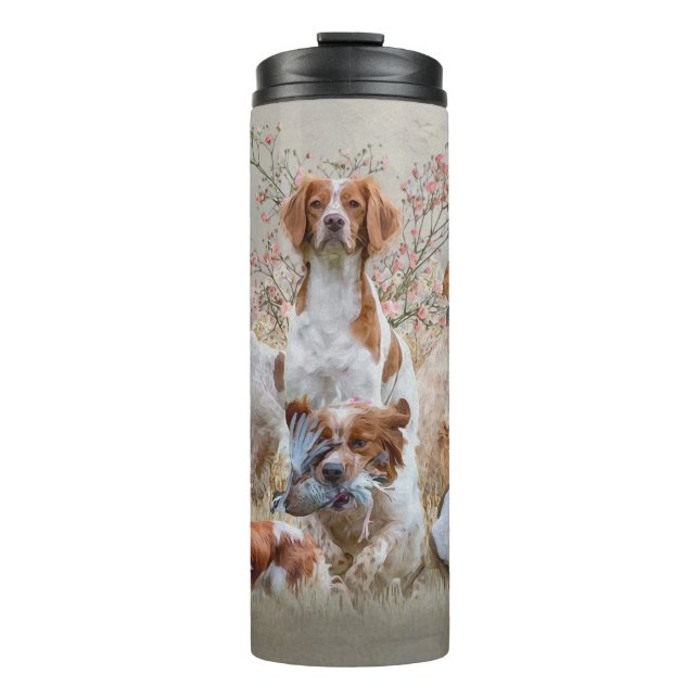Termo Spaniel de Bretaña (Anverso)