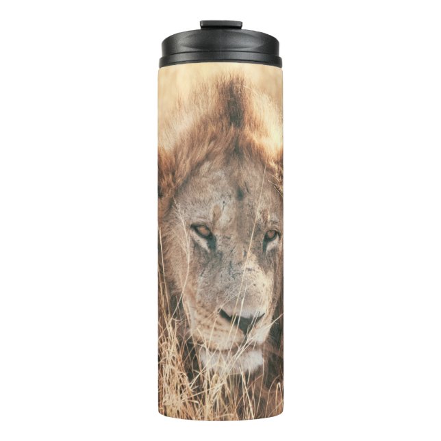 TERMO SR. LION KING (Anverso)