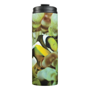 Termo Taza termal con diseño de los clownfish
