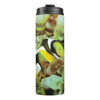 Termo Taza termal con diseño de los clownfish