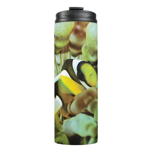 Termo Taza termal con diseño de los clownfish (Anverso)