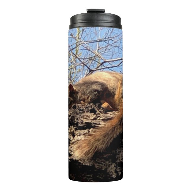 Termo Taza Térmica de Ardilla (Anverso)