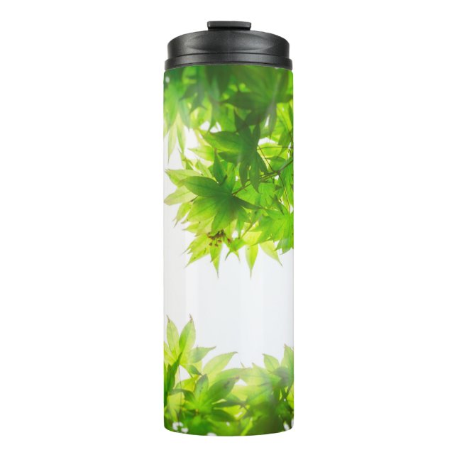 Termo Tejido de hoja de árbol de arce (Anverso)