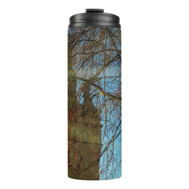 Termo Termal Tumbler Torre Antigua Y Ramas Sin Lágrimas (Anverso)