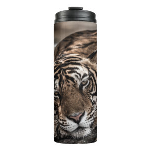 Termo Tigre de Ranthambore: arte de primera mano.