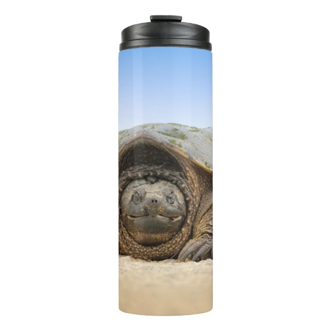 TERMO TORTUGA DE ARENA GRIS (Anverso)