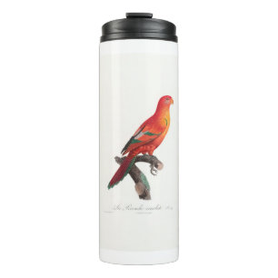 Termo tropical macaw parrot