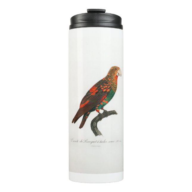 Termo tropical macaw parrot (Anverso)