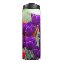 Tulipanes morados oscuros en un día soleado en el 