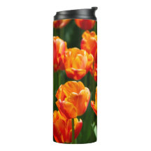 Tulipanes naranjas brillantes en el parque