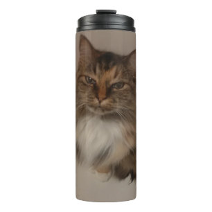 Termo Tumblador térmico de gato calico