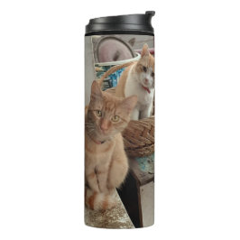 Termo tumblador térmico ginger cat