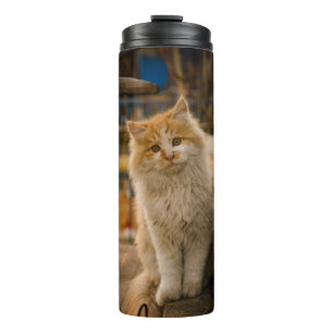 Termo Tumbler Termal Con Diseño De Gato Cubierto