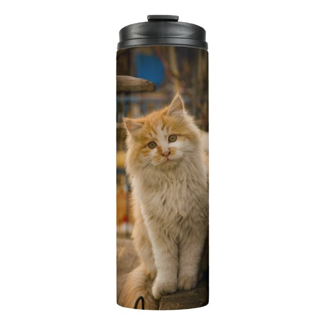 Termo Tumbler Termal Con Diseño De Gato Cubierto (Anverso)