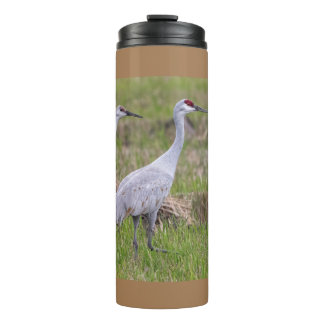 Termo Tumbler termal de la grúa de las colinas de arena