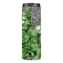 Termo Tumbler térmico