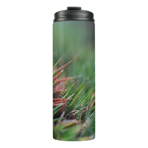 Termo Tumbler térmico