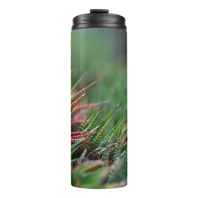 Termo Tumbler térmico (Anverso)
