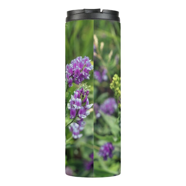 Termo Tumbler térmico (Reverso)