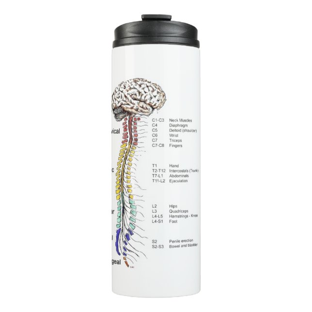 Termo Tumbler térmico (Anverso)