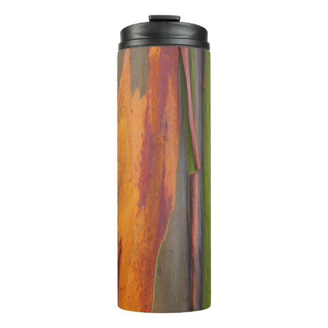 Termo Tumbler térmico 07 - Eucalipto arcoiris (Anverso)