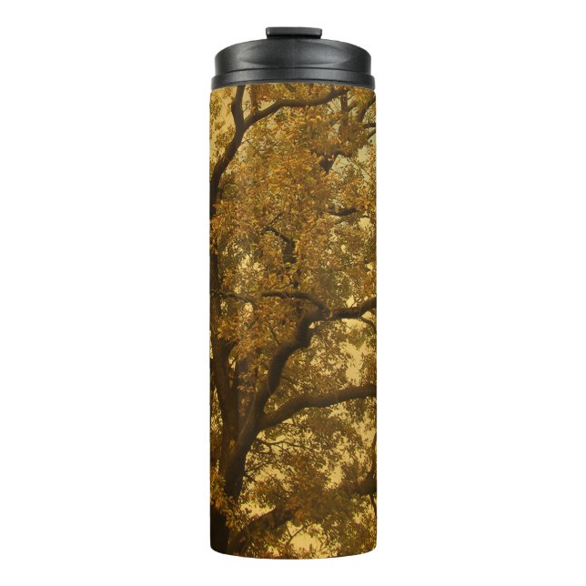 Termo Tumbler térmico Otumn Massive Tree Yellow (Anverso)