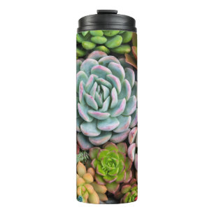 Termo Tumblor Cactus Succulent