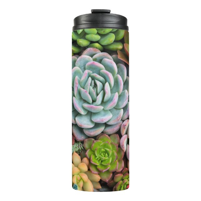 Termo Tumblor Cactus Succulent (Anverso)