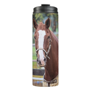 Termo Tumblor de caballo