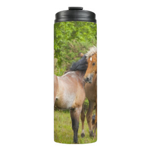 Termo Tumblor de caballo