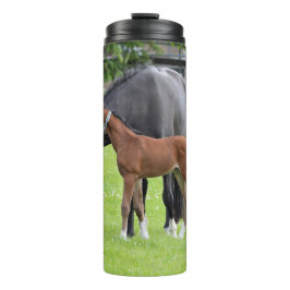 Termo Tumblor de caballo