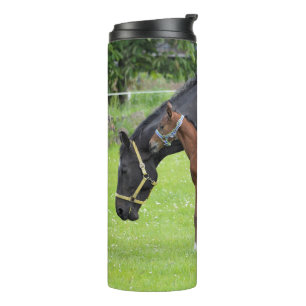 Termo Tumblor de caballo