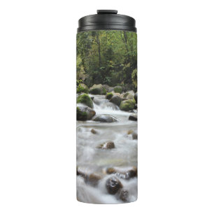 Termo Tumblor de Forest Stream