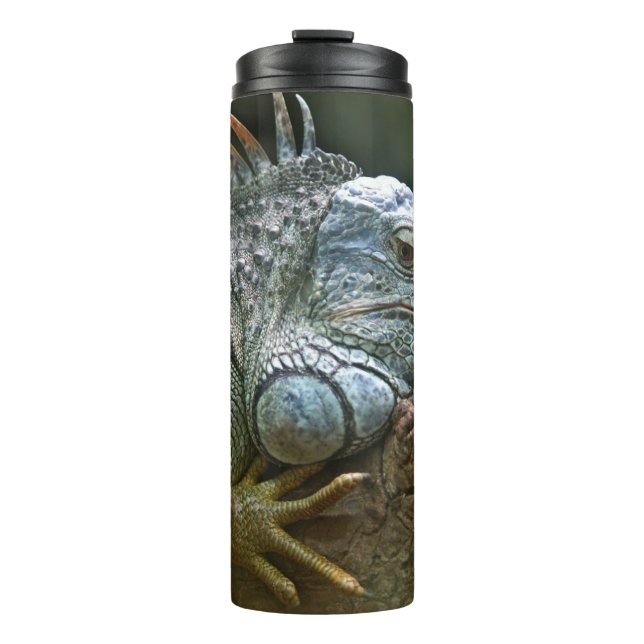 Termo Tumblor de iguana (Anverso)
