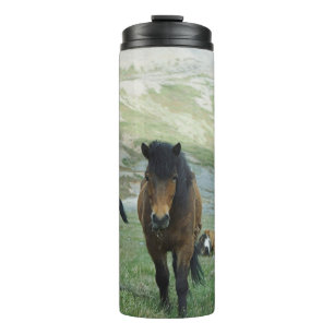 TERMO UN GRUPO DE CABALLOS EN UNA PASTURA DE MONTAÑA