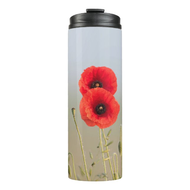 Termo un par de amapolas rojas (Anverso)