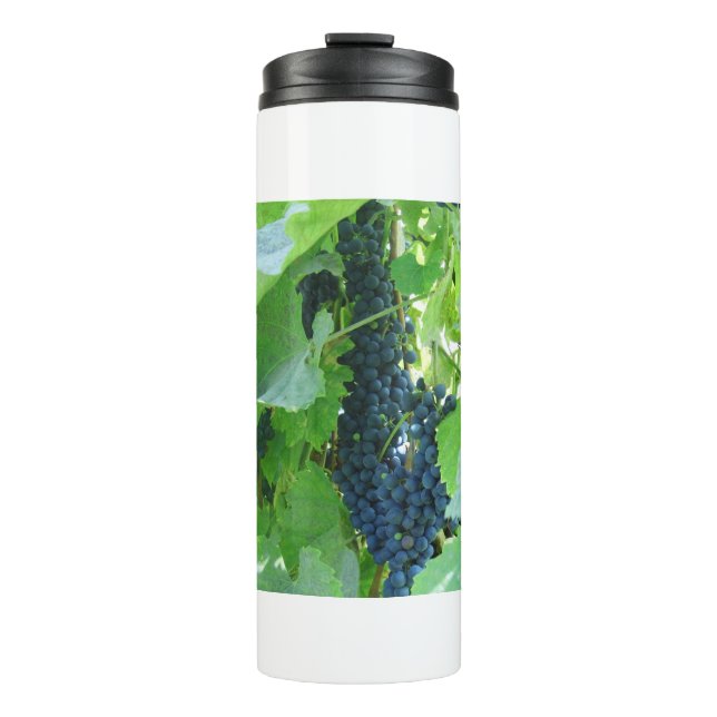 Termo Uvas (Anverso)