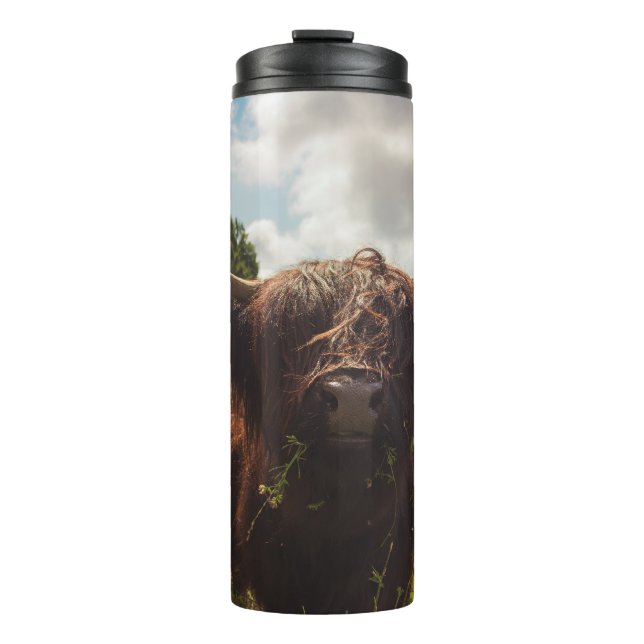 Termo Vaca negra de tierras altas pastoreando verde luz  (Anverso)