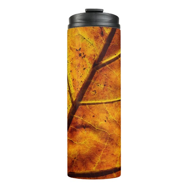 Termo Venas de hoja de hojas textura de caída (Anverso)