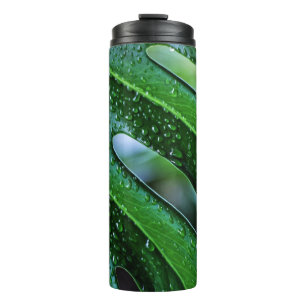 Termo verde de hoja de planta de Monstera