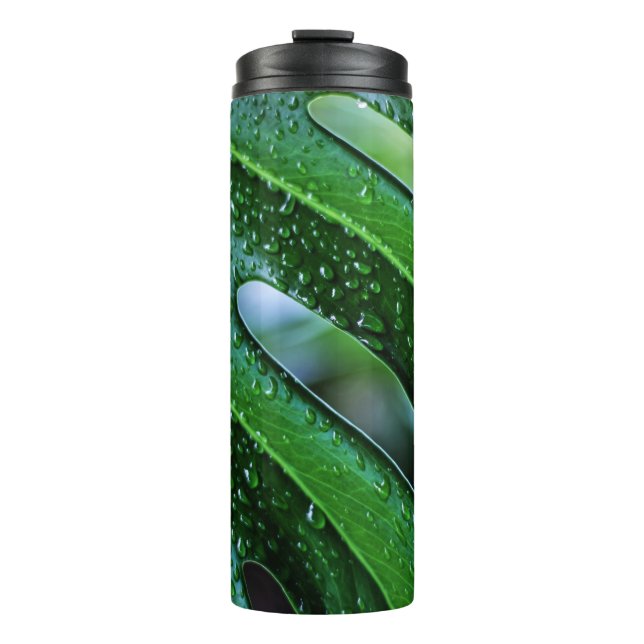 Termo verde de hoja de planta de Monstera (Anverso)