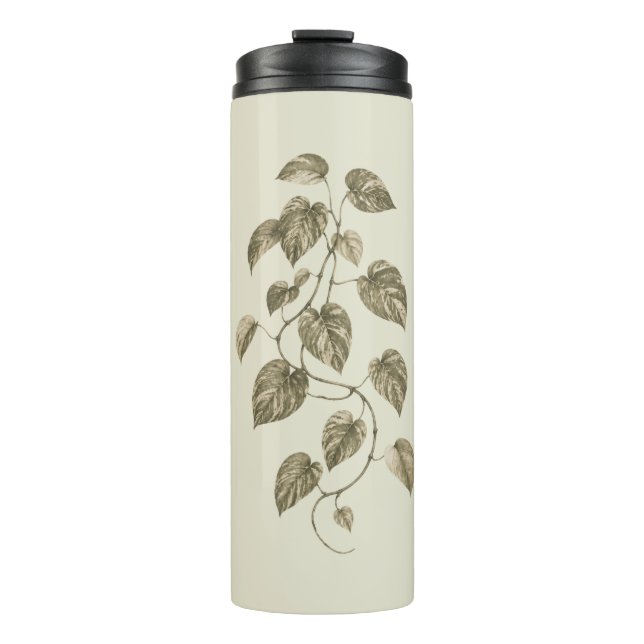Termo Vid verde de pothos (Anverso)