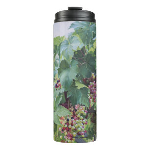 Termo Viñedo del Valle del Loira – Pintura de Uvas Franc