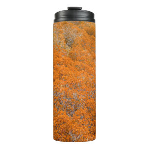 Termo Vista de bosque naranja. Fondo de hoja naranja. Ot