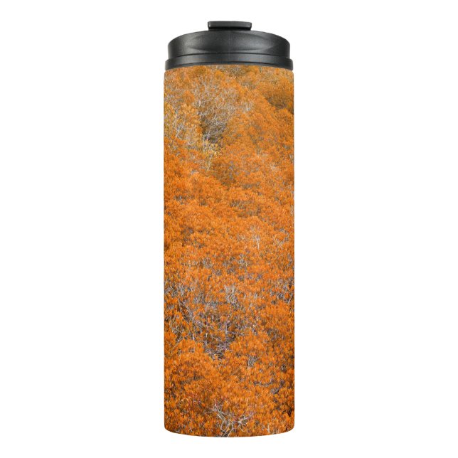 Termo Vista de bosque naranja. Fondo de hoja naranja. Ot (Anverso)