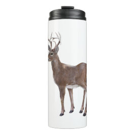 Termo White Tail Deer Buck