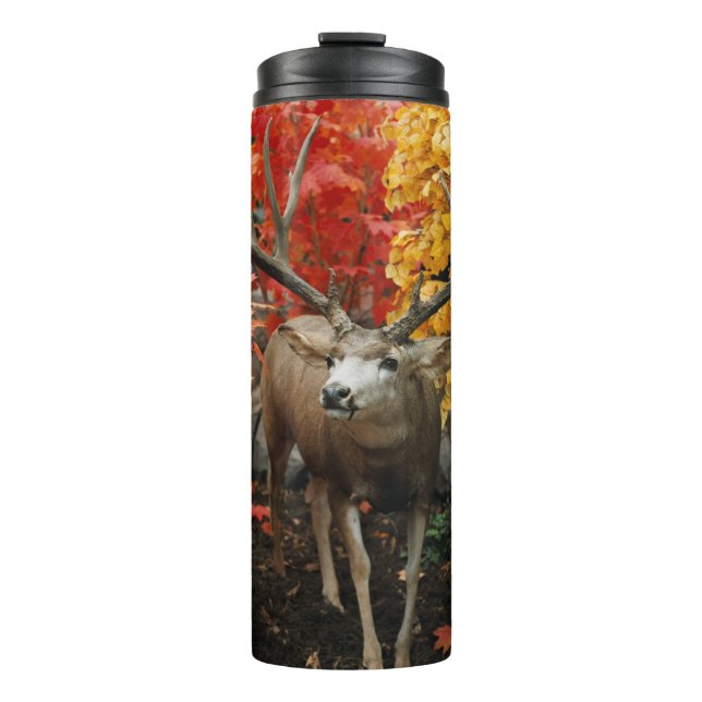 Termo Whitetail En Otoño (Anverso)