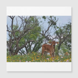 Ternero Brahman en flores silvestres
