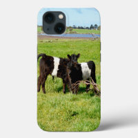 Terneros Belted Galloway, Funda para iPhone 13