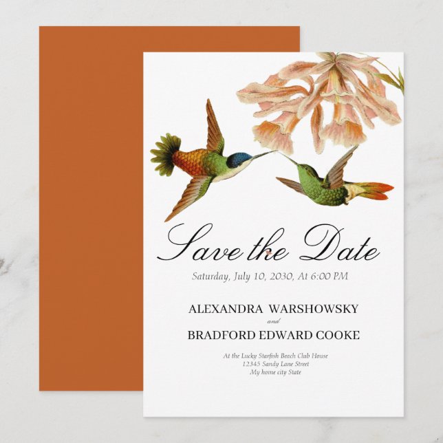 Terracotta Elegante Boda Colibrí Rubor Pink (Anverso / Reverso)